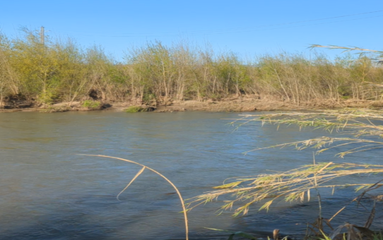 Meditación guiada para sanar el trauma